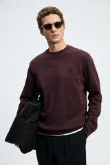 Grand Erkek Sweatshirt Mor