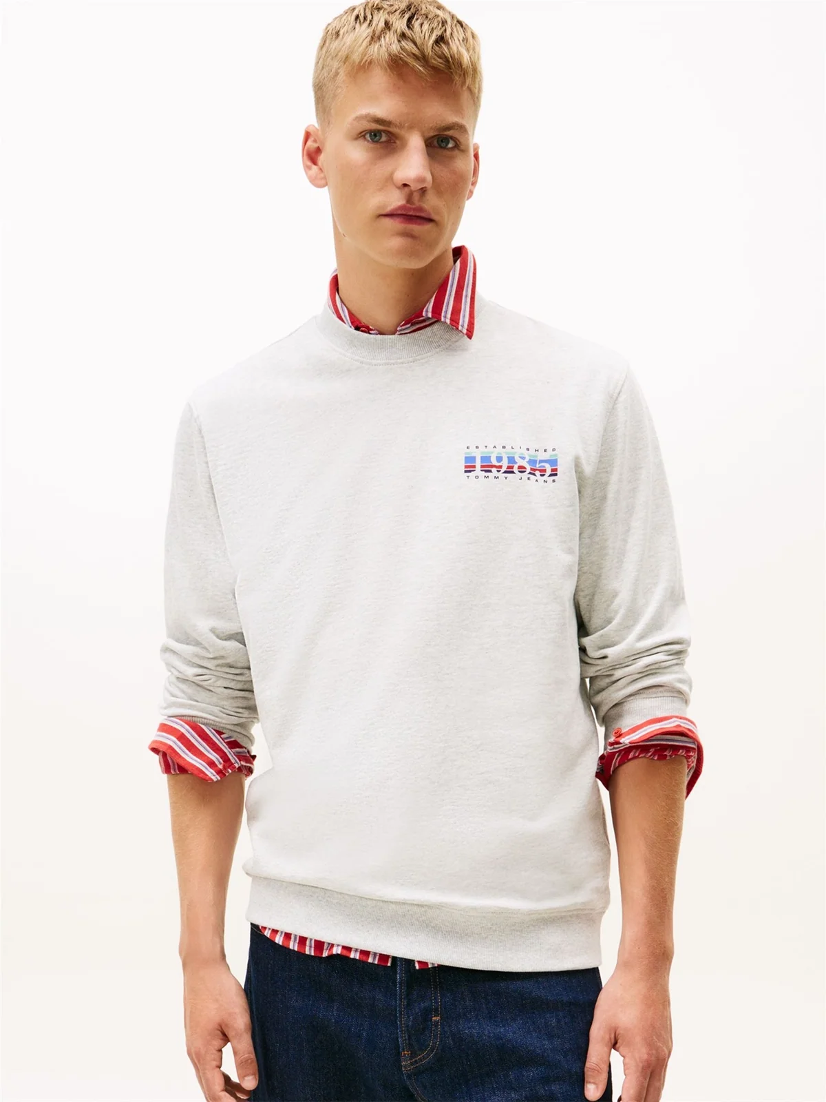 Tommy Jeans 1985 DNA Crew Neck Sweatshirt - Grey - L