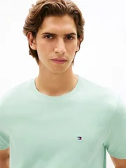Tommy Hilfiger Flag Embroidery Crew Neck T-Shirt - Mint Green - XL
