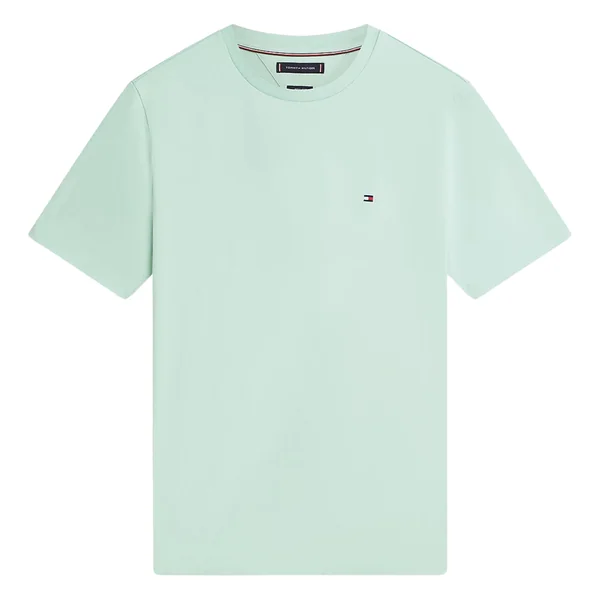 Tommy Hilfiger Flag Embroidery Crew Neck T-Shirt - Mint Green - XL