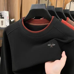 Autumn Winter Men's O-Neck Embroidery T-Shirt Solid Color Comfortable Long Sleeve Base Tops Skin Friendly Daily Wear Men's Wear
